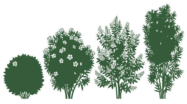 Eine Sammlung von vier verschiedenen gr&uuml;nen Gartenstr&auml;uchern und bl&uuml;henden B&uuml;schen in einer flachen, grafischen Vektorillustration auf wei&szlig;em Hintergrund f&uuml;r Landschaftsgestaltung.