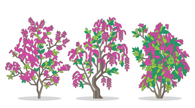 Eine Sammlung von drei verschiedenen bl&uuml;henden B&auml;umen und Str&auml;uchern mit leuchtend violetten Bl&uuml;ten und gr&uuml;nen Bl&auml;ttern in einem flachen, modernen Vektor-Illustrationsstil.