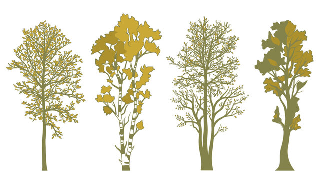 Eine Sammlung von vier detaillierten Baum-Silhouetten in herbstlichen Gold- und Gr&uuml;nt&ouml;nen, isoliert auf wei&szlig;em Hintergrund f&uuml;r grafische Designprojekte und Illustrationen.