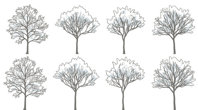 Eine Sammlung von acht detaillierten Baum-Illustrationen im Skizzenstil, die verschiedene Baumarten mit feinen Linien und nat&uuml;rlicher Struktur auf wei&szlig;em Hintergrund darstellen.