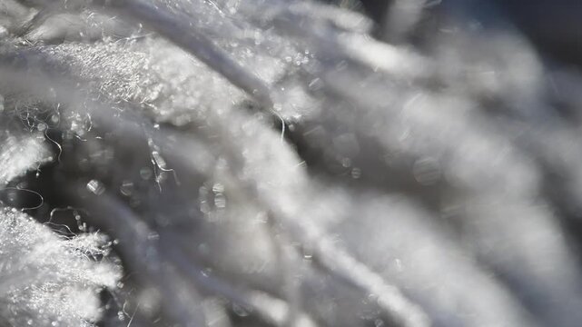 Macro video showing textures and pile of a rug, Treads and strands close up.