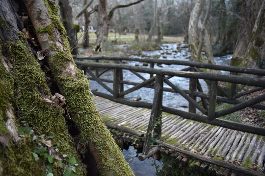Wooden bridge over stream in mossy forest, Naousa Greece