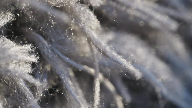 Macro video showing textures and pile of a rug, Treads and strands close up.