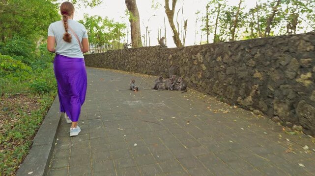 Young Woman Walking Carefully Past Wild Macaques Along Temple Path at Pura Luhur Uluwatu