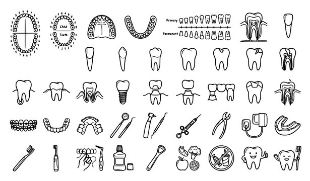 Comprehensive Dental Anatomy and Oral Care Vector Icon Set for Dentistry Education and Tooth Health