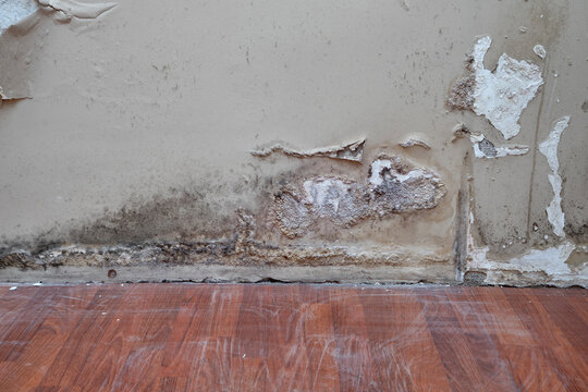 Interior wall requiring renovation after severe water and moisture damage.