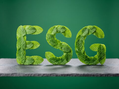 ESG abbreviation made of fresh green leaves on slate background