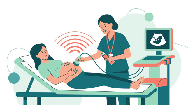Pregnant Woman Undergoing Ultrasound Scan by Nurse, Medical Examination, Fetal Development Visualization