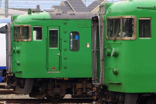 緑色の国鉄型電車が並ぶ車両基地の風景