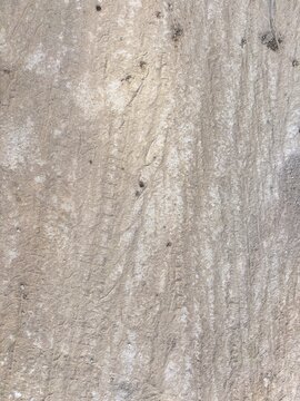 Vehicle tracks on the concrete floor.