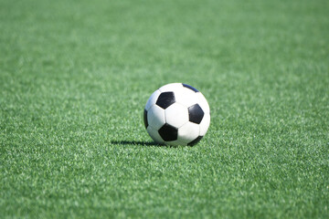 Fototapeta premium サッカー