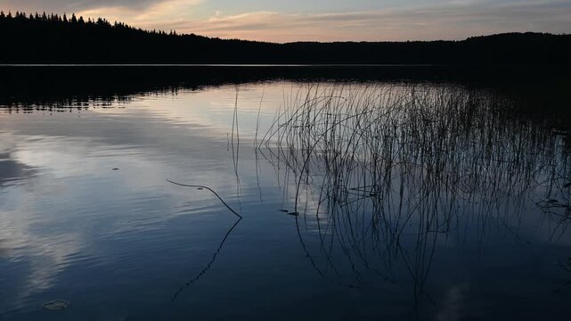 Small waves ripple on a calm evening lake that is reflecting the colors of the sky. Thin reeds fill part of the foreground.

