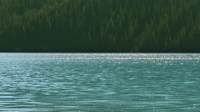 View across a turquoise colored mountain lake with the summer sky flashing on small waves. Distance evergreen trees are side lit by the sun.
