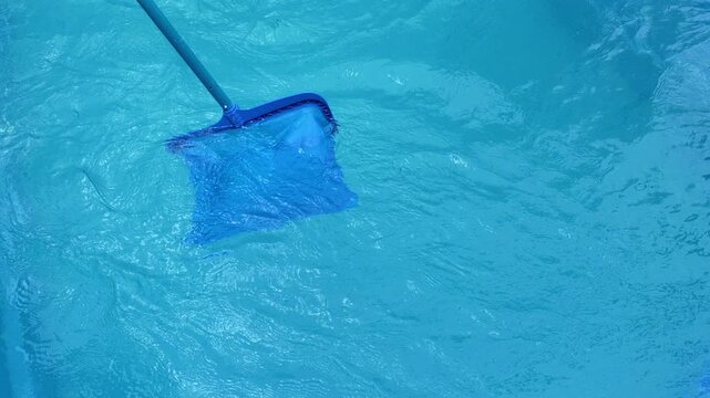 Seasonal pool care.Pool skimmer net removing debris from blue pool water. 4k footage