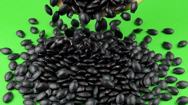 Abundant black watermelon seeds falling down against a bright green screen background for chroma key compositing