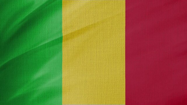 Mali Flag Animation With Fabric Texture