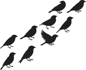 Obraz premium Black Bird Silhouette Collection, Flying and Perched Songbird Icons Set, Sparrow Crow Raven Wildlife Vector Illustration