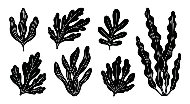 Collection of various hand drawn seaweed and algae silhouettes.