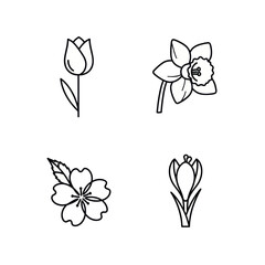 Fototapeta premium Four spring flower line art icons set.