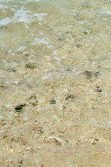 Crystal Clear Tropical Shallow Water with Gentle Ripples Over Sandy Seabed Background © Arthur