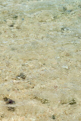Crystal Clear Tropical Shallow Water Over Sandy Coral Seabed with Natural Ripple Texture © Arthur
