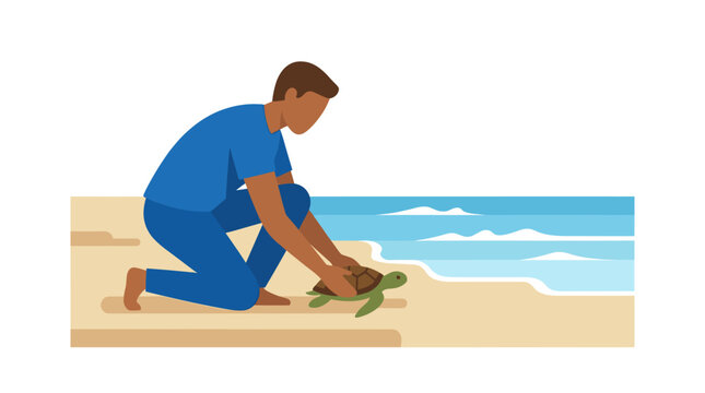 Person releasing sea turtle back into the ocean.