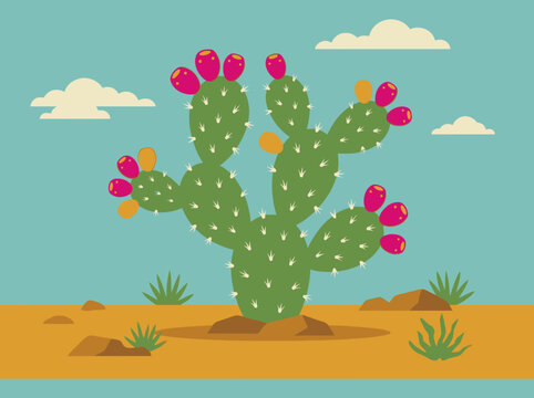 Nopal vector landscape with prickly pear cactus and desert fruit
