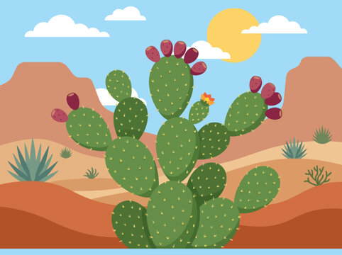 Nopal vector prickly pear cactus with fruits in desert landscape