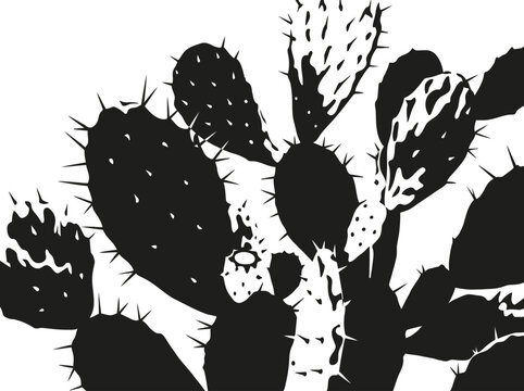 Prickly pear cactus with thorns and pads nopal vector