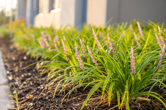 commercial warehousecommercial, warehouse, building, architecture, house, hotel, construction, sky, city, office, tree, residential, palm, estate, garden, residence, window, property, buildings, condo