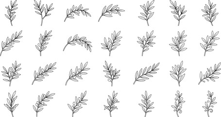 Fototapeta premium Botanical Olive Branch Outline Collection with Leafy Twigs and Berry Sprigs Line Art Vector Set