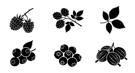 Assorted berry fruit silhouettes on white background. © Sebastian
