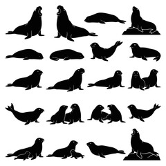 Collection of Black Silhouette Elephant Seals in Various Poses and Illustrations © Dhafino