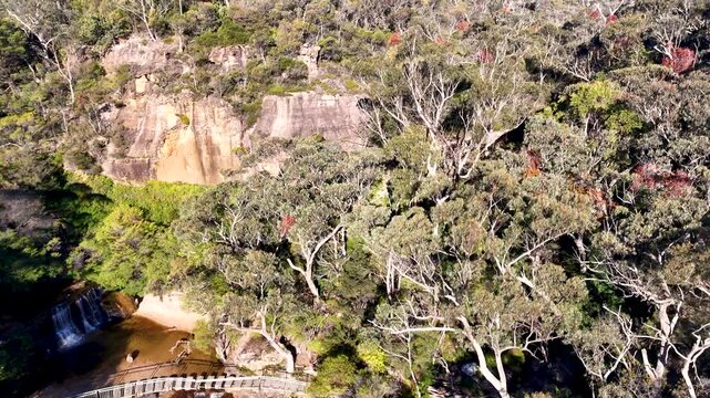 Aerial View of Wentworth Falls Waterfall and Eucalyptus Forest