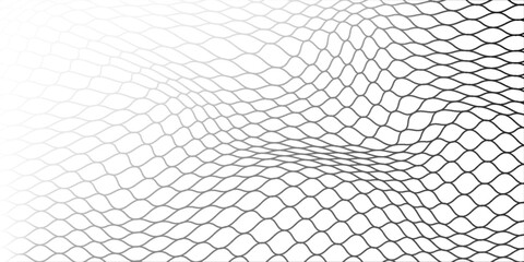 Abstract net curve line pattern with black color in white background. © halim