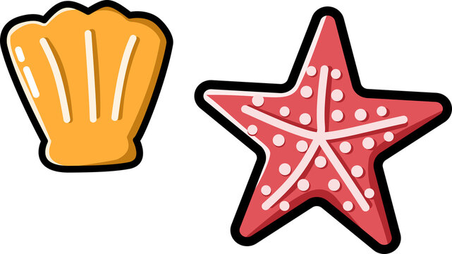 Vector Illustration of Starfish and Shell