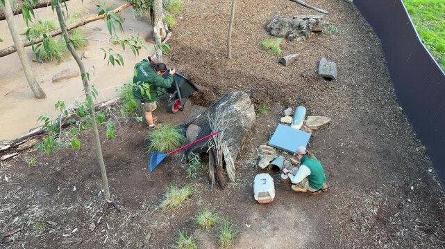 Zookeepers Raking Mulch and Tending to Animals in Zoo Enclosure