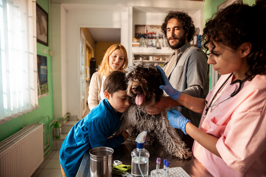 Family comforting dog during veterinary exam at clinic