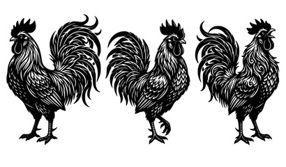 Intricate black and white rooster vector illustration set featuring three stylized farm cockerel birds with highly textured feather details isolated on white background. © Josna