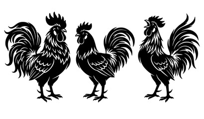 Detailed black and white rooster vector illustration set featuring three different farm cockerel birds with ornate feathers isolated on background for agriculture design. © Josna