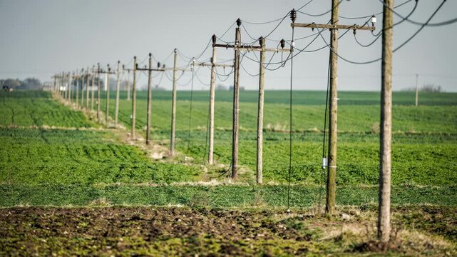 Medium shot of wired telecom poles lined along a vast open farmland with lush green fields blurred softly in the background