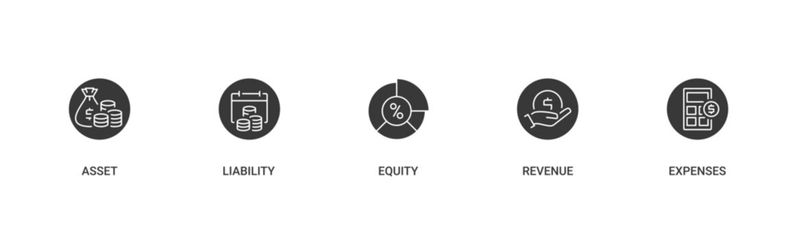 5 Core Element financial accounting icon set containing asset, liability, equity, revenue and expenses vector icon concept illustration