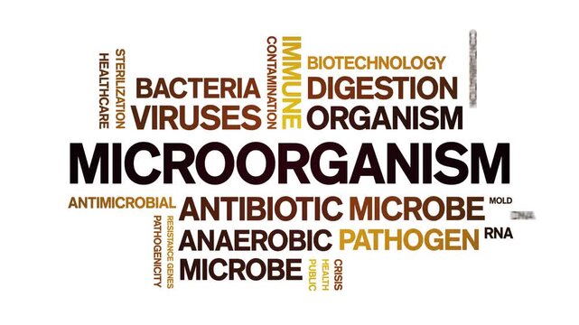 Microorganism animated word cloud-text design animation tag kinetic typography seamless loop.