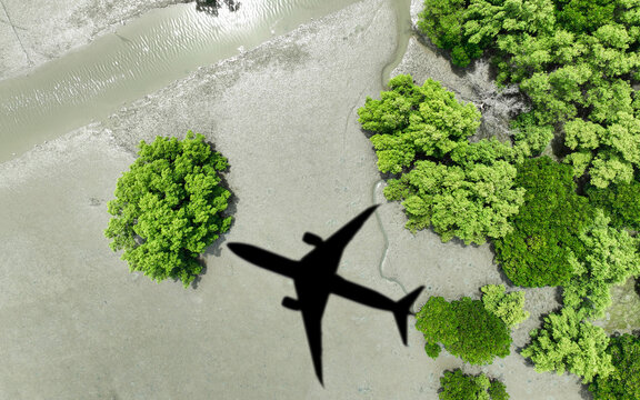 Shadow airplane flying above mangrove forest. Use of biofuel for sustainable aviation. Sustainable transportation. Eco-friendly flight. Aviation sustainability. Reducing aviation's carbon footprint.