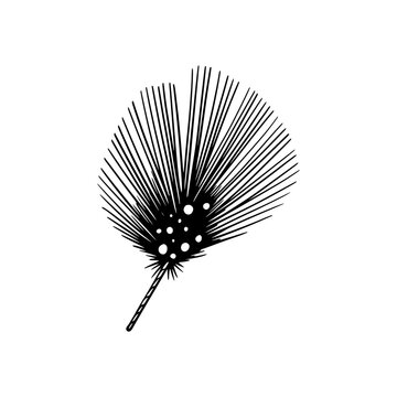 Hand drawn sketch logo of pine tree leaf combine with bubble that showed up extensive and growing network