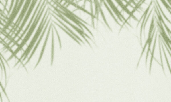 pale green background displaying soft, blurred silhouettes of tropical palm leaves draping from the top.