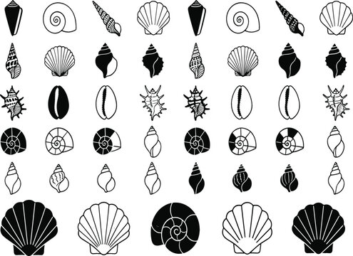 Mega Pack of Sea Shell Icons with Line Art and Silhouette Designs of Scallops, Cowries, and Nautilus Symbols for Summer and Marine Branding