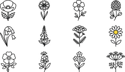 Wildflower and Meadow Herbs Line Icon Set Featuring Poppy, Daisy, Bluebell, and Clover Symbols for Botanical Branding, Gardening Blogs, and Floral Patterns © Ashik 