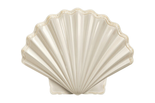 Natural seashell displaying an elegant fan shape, symbolizing beach holidays, ocean life, and marine beauty