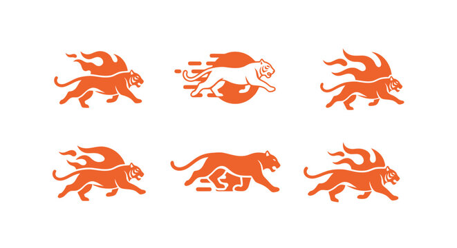 Orange tiger logo set with fire and speed motifs for sports and branding.